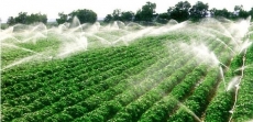 安徽水肥一体化技术公司
